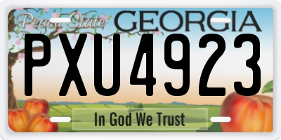 GA license plate PXU4923