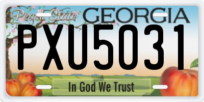 GA license plate PXU5031