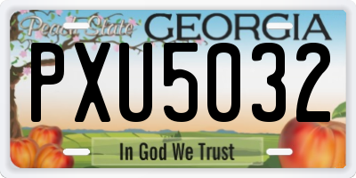 GA license plate PXU5032