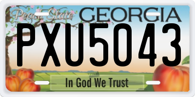 GA license plate PXU5043