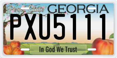 GA license plate PXU5111