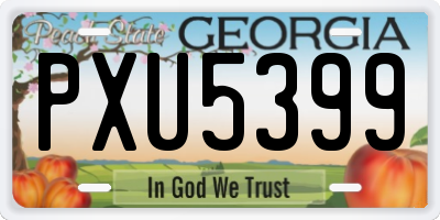 GA license plate PXU5399