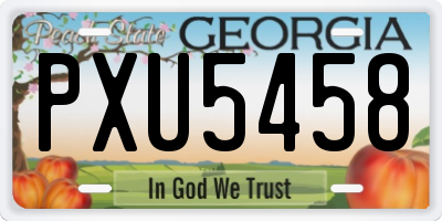 GA license plate PXU5458