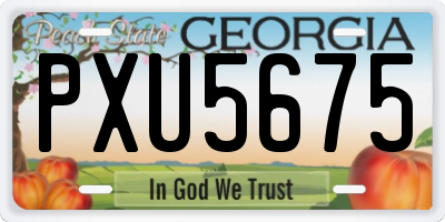 GA license plate PXU5675