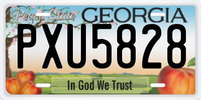 GA license plate PXU5828