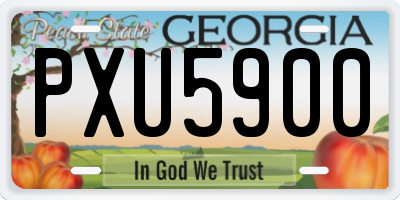 GA license plate PXU5900