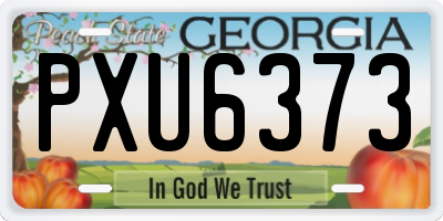 GA license plate PXU6373