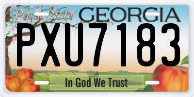 GA license plate PXU7183