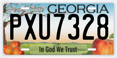 GA license plate PXU7328