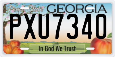 GA license plate PXU7340