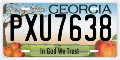GA license plate PXU7638