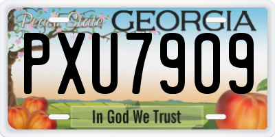 GA license plate PXU7909