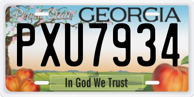 GA license plate PXU7934