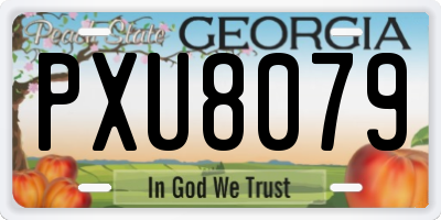 GA license plate PXU8079