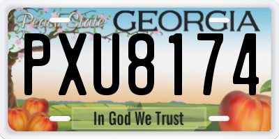 GA license plate PXU8174