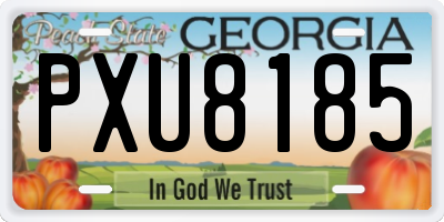 GA license plate PXU8185