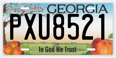 GA license plate PXU8521