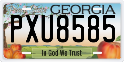 GA license plate PXU8585