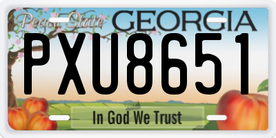 GA license plate PXU8651