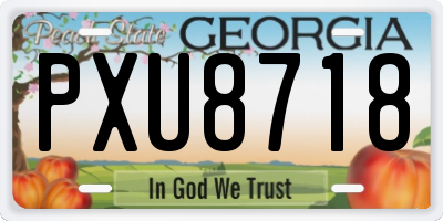 GA license plate PXU8718