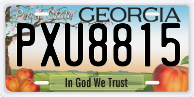 GA license plate PXU8815