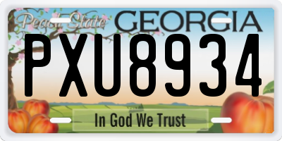 GA license plate PXU8934