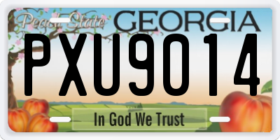 GA license plate PXU9014