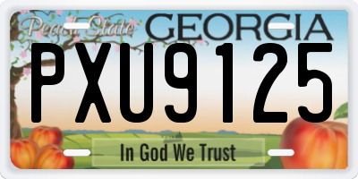 GA license plate PXU9125