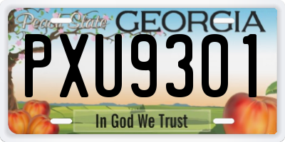 GA license plate PXU9301