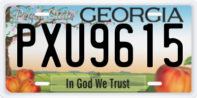 GA license plate PXU9615