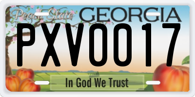 GA license plate PXV0017