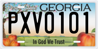 GA license plate PXV0101