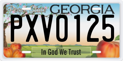 GA license plate PXV0125