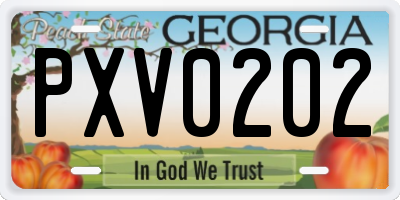 GA license plate PXV0202
