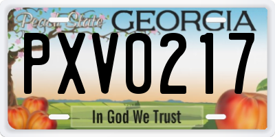 GA license plate PXV0217