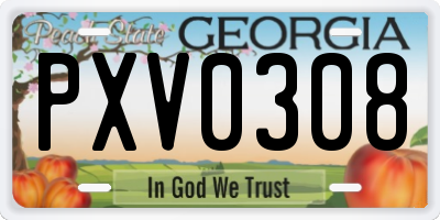 GA license plate PXV0308