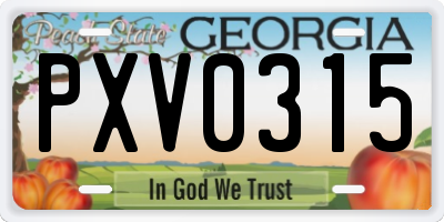 GA license plate PXV0315