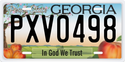 GA license plate PXV0498