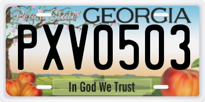 GA license plate PXV0503