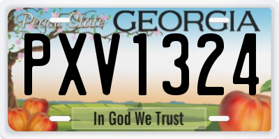 GA license plate PXV1324