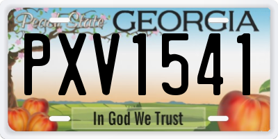 GA license plate PXV1541
