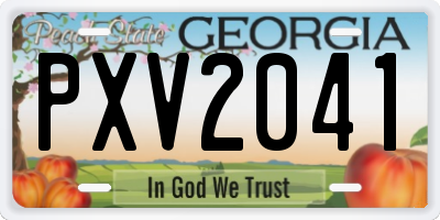 GA license plate PXV2041