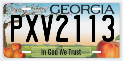 GA license plate PXV2113