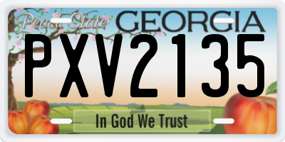 GA license plate PXV2135