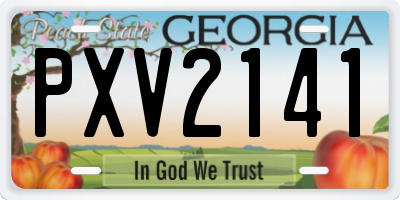 GA license plate PXV2141