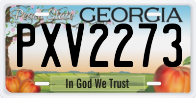 GA license plate PXV2273