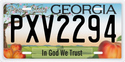 GA license plate PXV2294