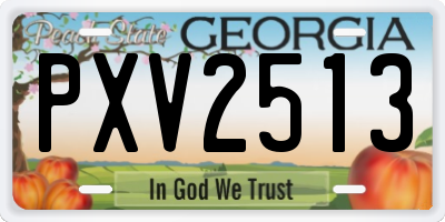 GA license plate PXV2513