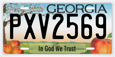 GA license plate PXV2569