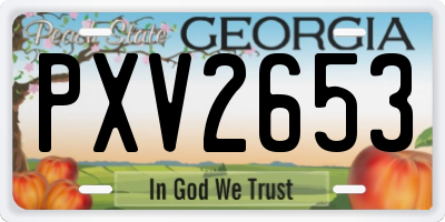 GA license plate PXV2653